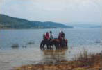 Balade à cheval au lac de Naussac en Lozère